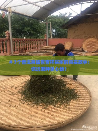 普洱茶盛世吉祥