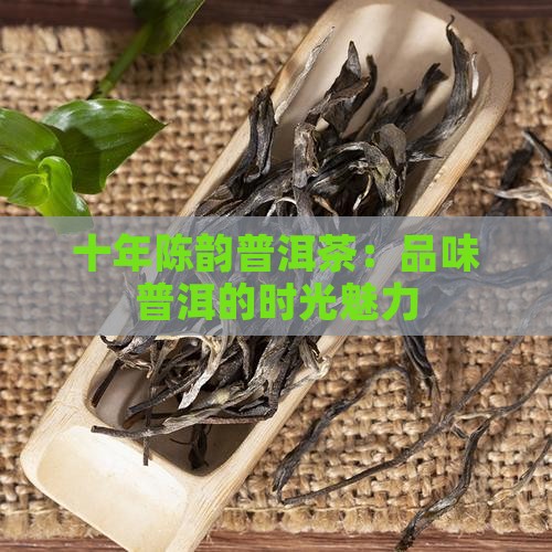 十年一品普洱茶怎么样