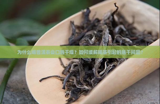 普洱茶喝了口唇干