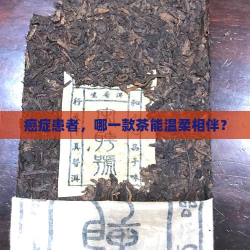 哪种茶更适合癌症患者