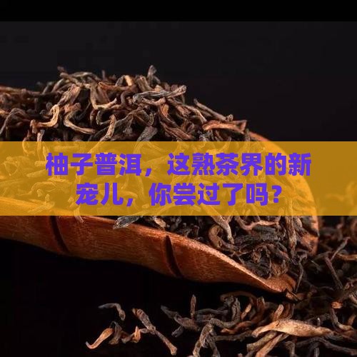 柚子普洱茶属于熟茶吗