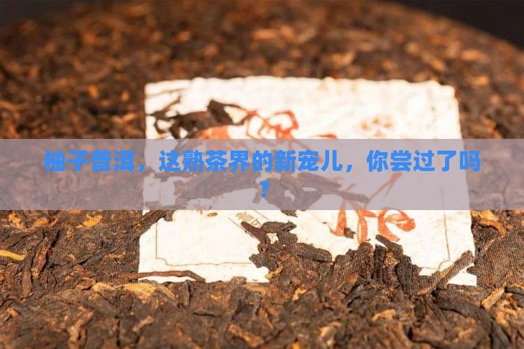柚子普洱茶属于熟茶吗