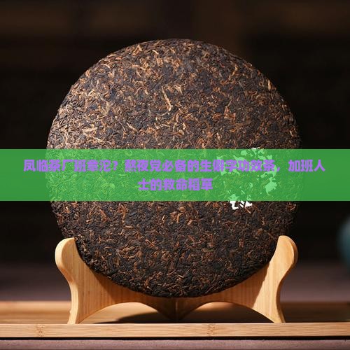 凤临茶厂班章沱