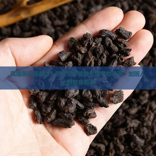 凤临茶厂班章沱