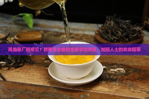 凤临茶厂班章沱