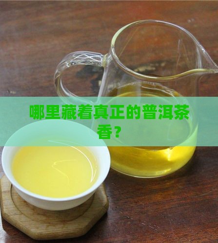 正宗普洱茶的产地在哪里 正宗普洱茶的产地在哪里