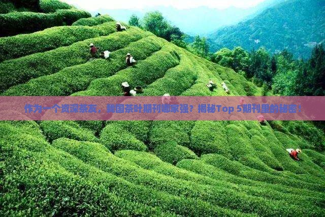 中国茶叶期刊等级