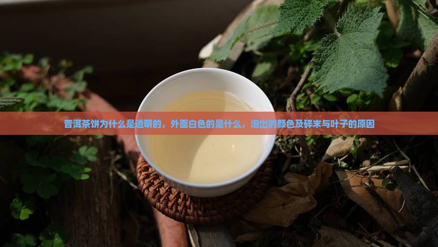 普洱茶饼为什么是透明的
