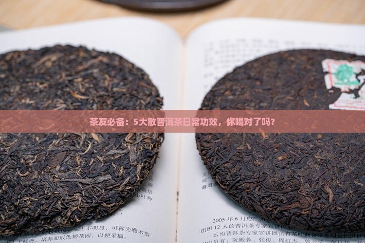 散普洱茶功效作用