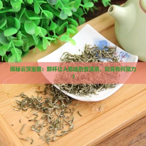 云顶封藏普洱茶