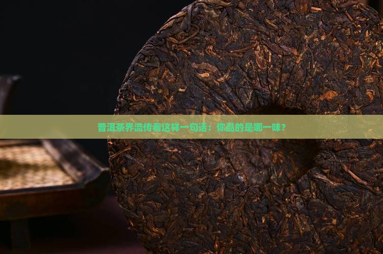 普洱茶界流传着这样一句话