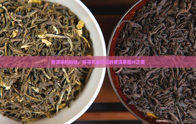 老普洱茶孔雀印