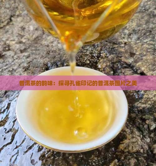 老普洱茶孔雀印