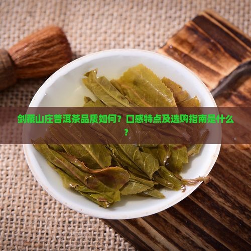 剑藏山庄普洱茶