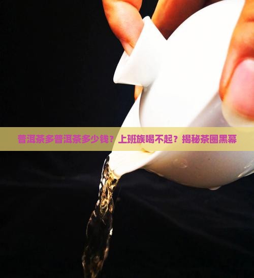 普洱茶多普洱茶多少钱