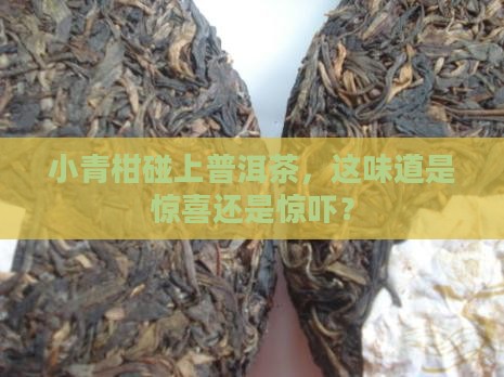 普洱茶小青柑的滋味