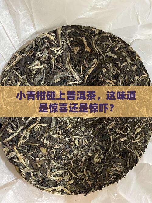 普洱茶小青柑的滋味