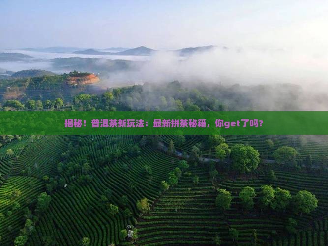 普洱茶拼茶配方比例表最新