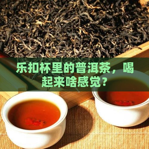 乐扣杯普洱茶怎么样