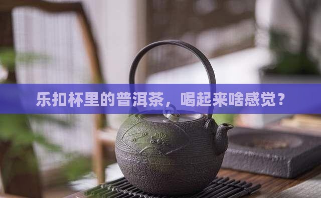 乐扣杯普洱茶怎么样