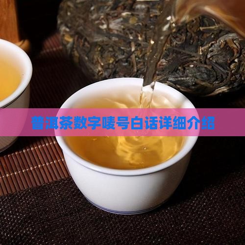 普洱茶唛号白话介绍