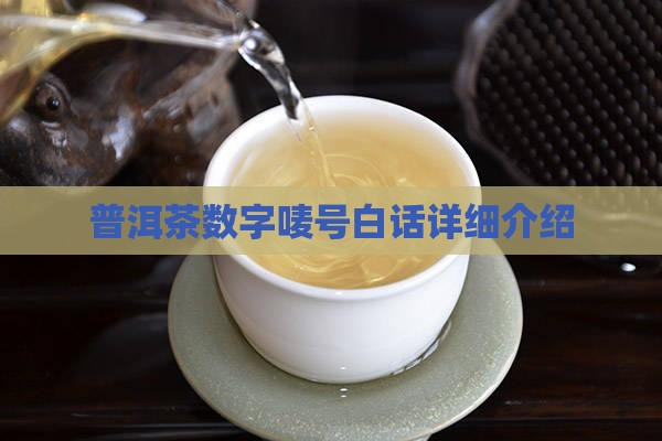 普洱茶唛号白话介绍