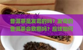 普洱茶是发霉致癌物吗