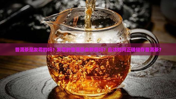 普洱茶是发霉致癌物吗