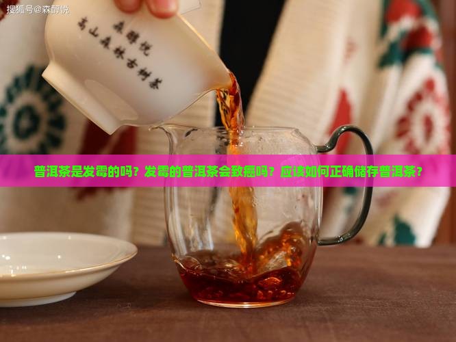 普洱茶是发霉致癌物吗