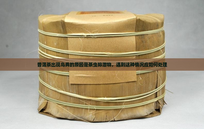 普洱茶出现鸟粪的原因是