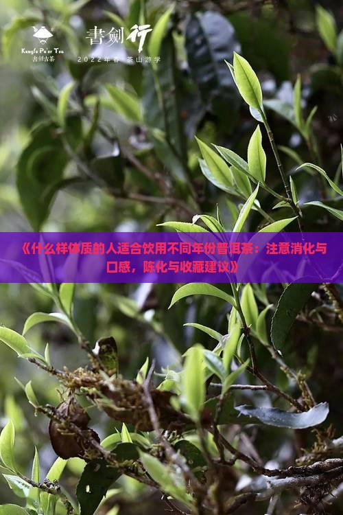 什么样人群喝生普洱