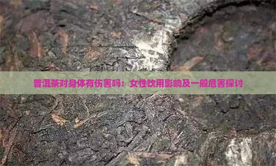 普洱茶对身体有伤害吗