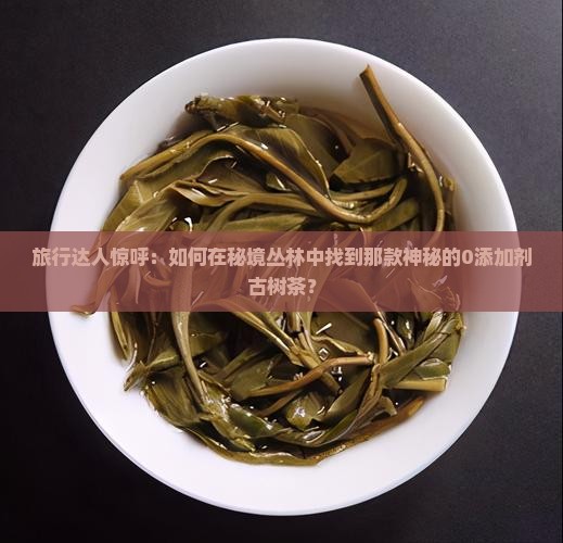 哈尼古树普洱茶阿蜜车