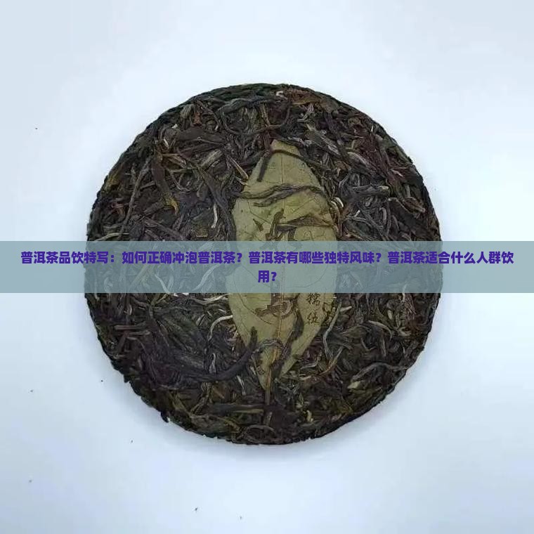 普洱茶品饮特写