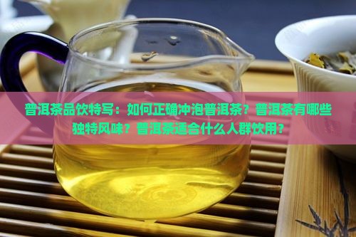 普洱茶品饮特写