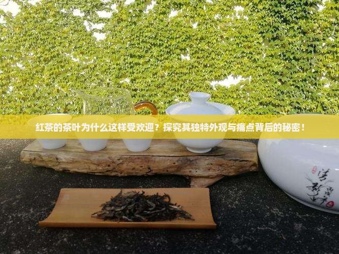 红茶的茶叶是什么样子