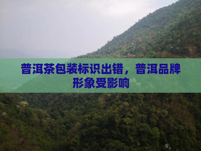 普洱茶包装字错 普洱茶包装字错