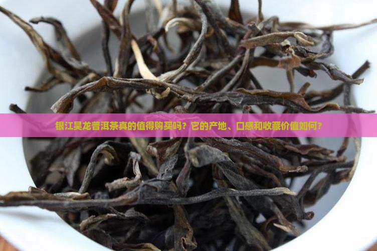 银江昊龙普洱茶