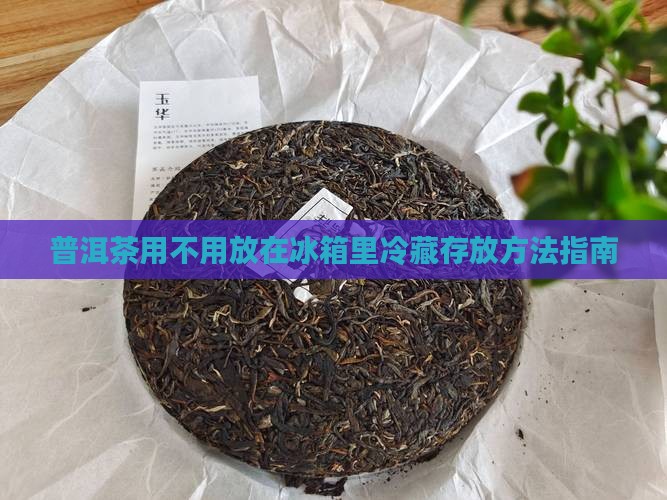 普洱茶用不用放在冰箱里