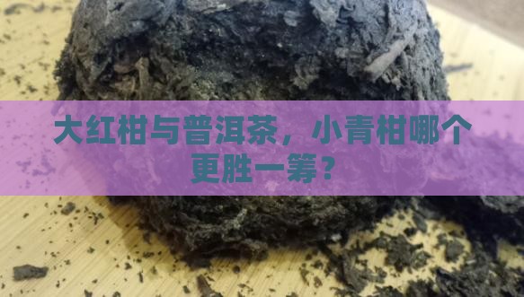 大红柑普洱茶和小青柑哪个好