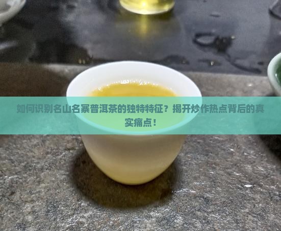 名山名寨普洱茶的特征