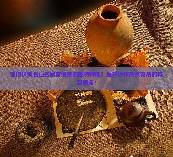 名山名寨普洱茶的特征
