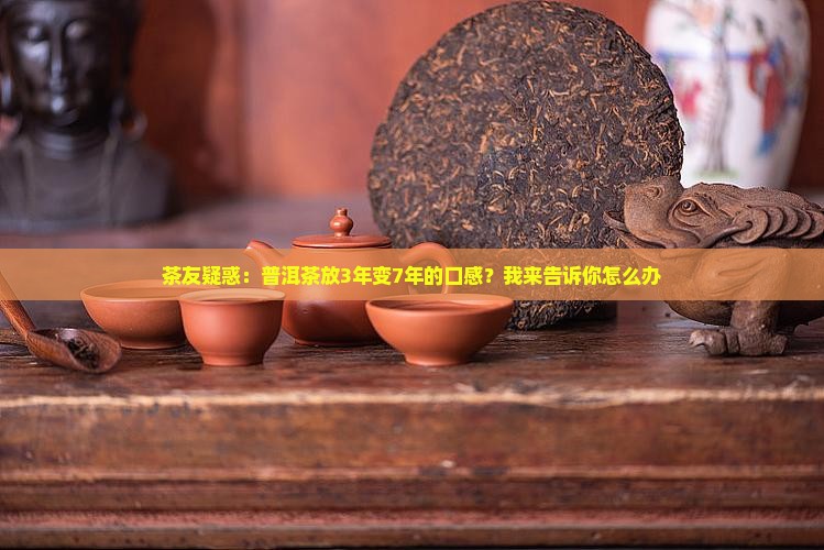 普洱茶3年转换7年