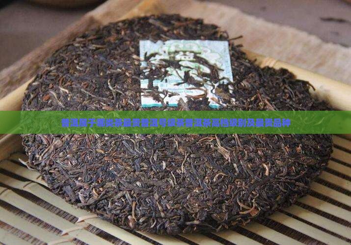 普洱属于哪类茶最贵普洱号级茶