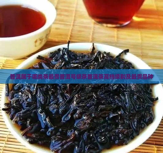 普洱属于哪类茶最贵普洱号级茶