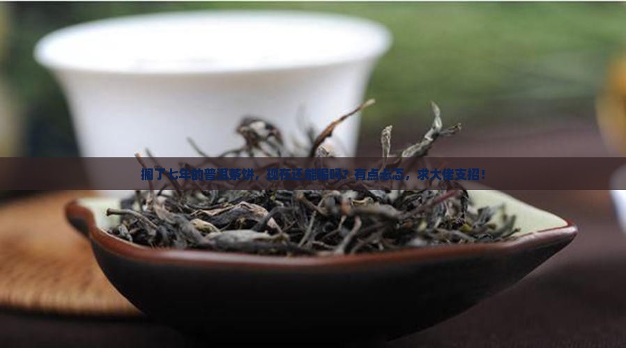 普洱茶饼放了七年还能喝吗