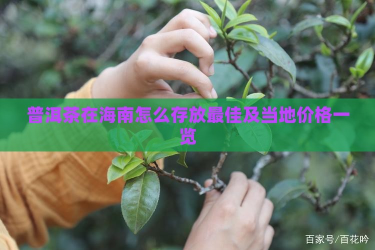 普洱茶在海南怎么存