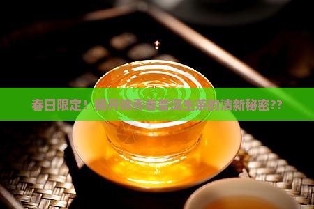 锦秀春普洱茶生茶