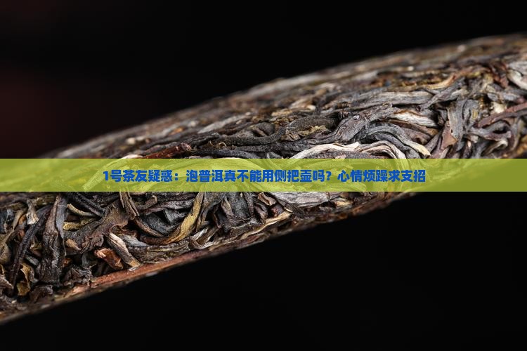 泡普洱茶不能用侧把壶吗
