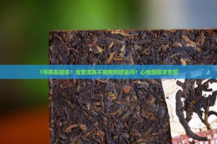 泡普洱茶不能用侧把壶吗